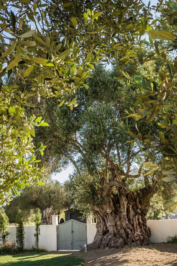 Villa Laoura سفوروناتا المظهر الخارجي الصورة